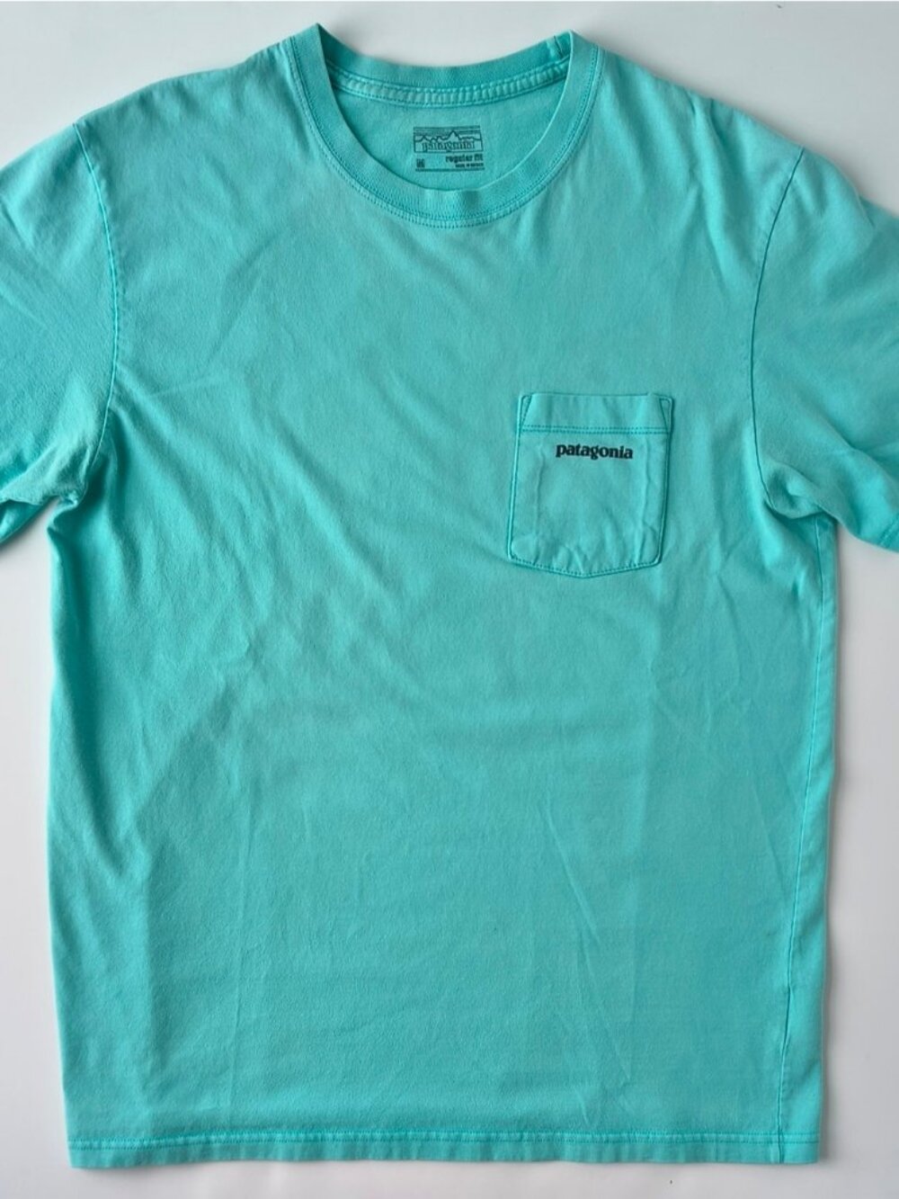 Patagonia Men's Mint Pocket Tee Logo Crew Neck Cotton Knit Regular Fit • SZ M